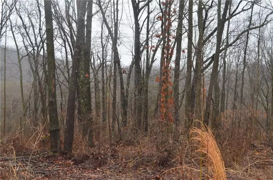 Halford Ln, Bella Vista, AR 72715