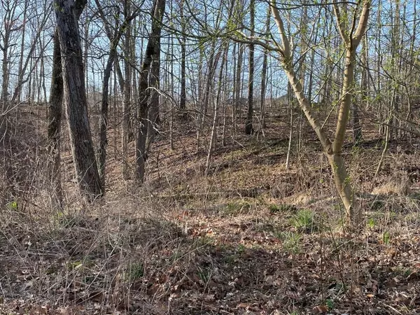 Clophill Ln, Bella Vista, AR 72714
