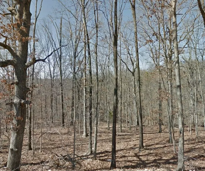 Bella Vista, AR 72715,Montgomery Cir