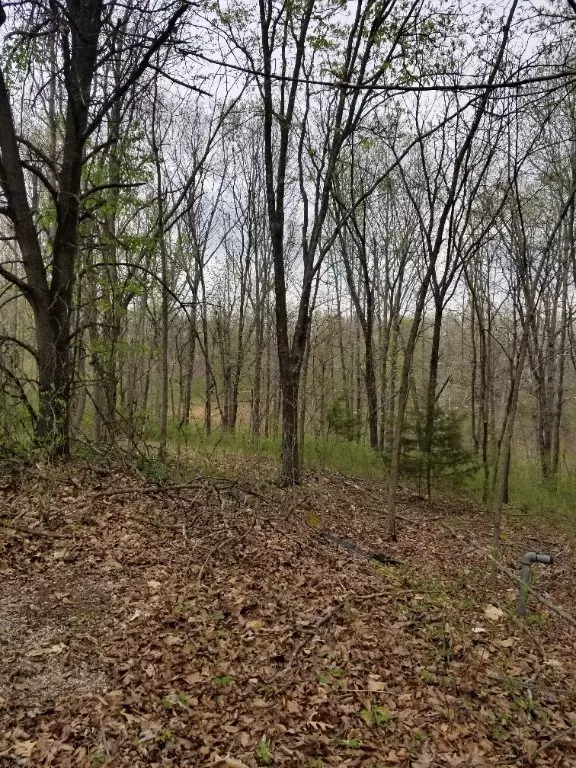 Bella Vista, AR 72715,Reba Ln