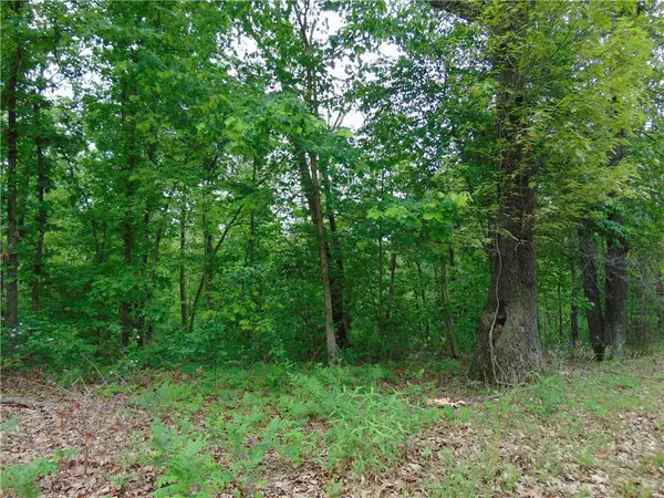 Bella Vista, AR 72715,Boston Cir