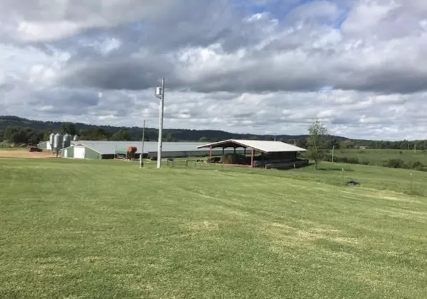 Hindsville, AR 72738,Address not disclosed