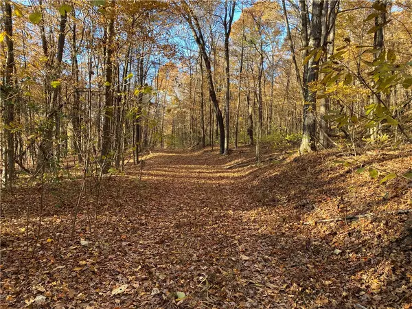 Crosses, AR 72727,Madison 4095