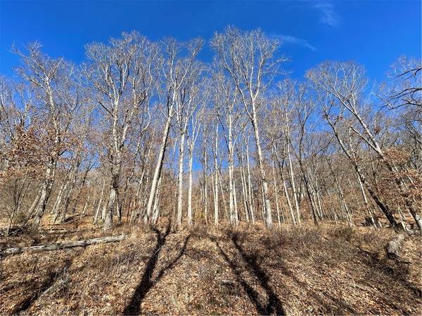 45 Cove Ln, Holiday Island, AR 72631