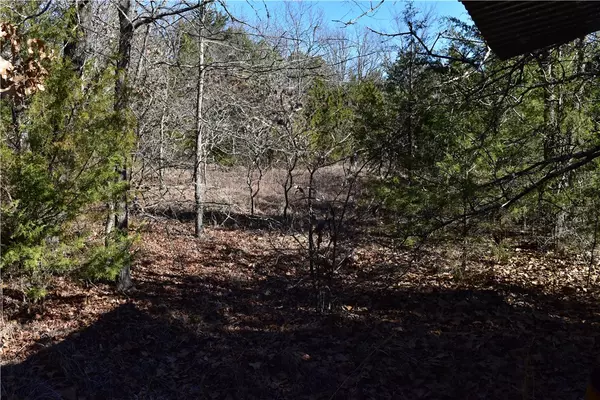 Charleston, AR 72933,TBD anice Rd