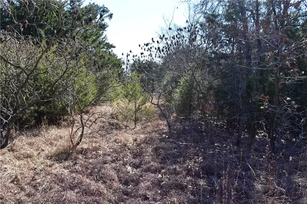 Charleston, AR 72933,TBD anice Rd