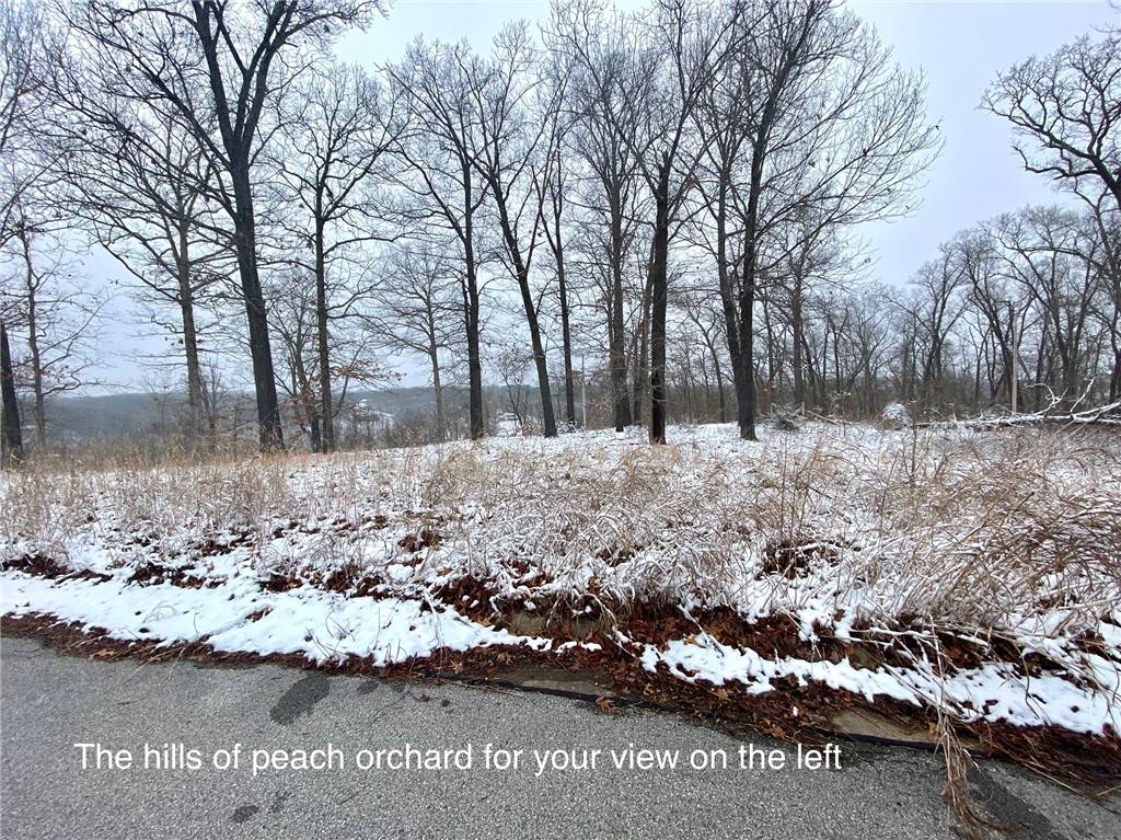 Bentonville, AR 72712,Lot 27 Palisades Cir