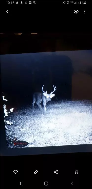 Twin Oaks, OK 74347,TBD