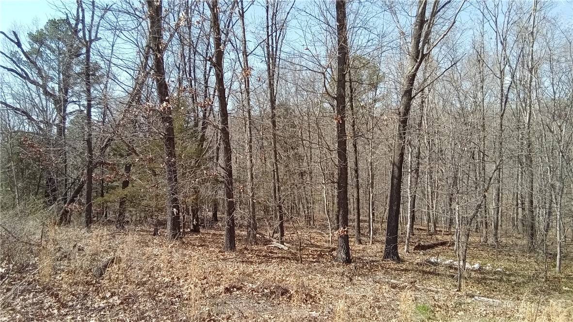 Lot 32, Block 3 Bolton Ln, Bella Vista, AR 72715