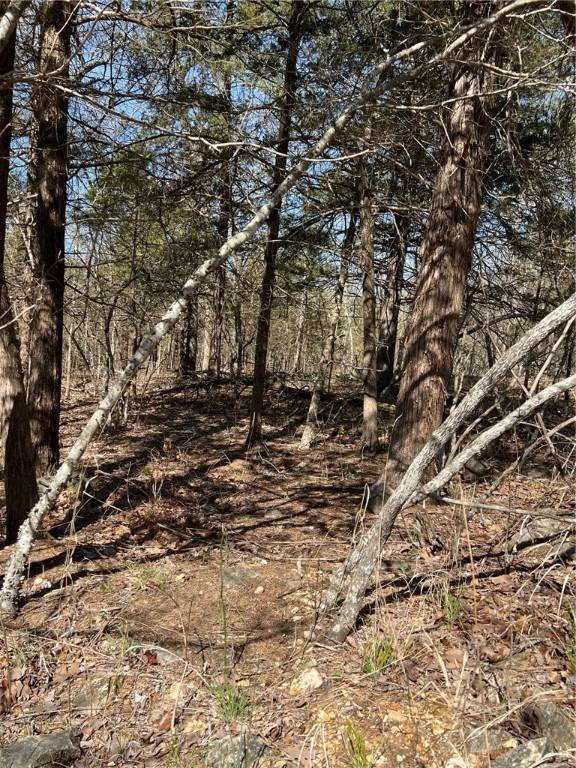 8019 Hillside Ave, Holiday Island, AR 72631