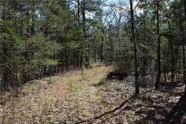 Boles, AR 72926,4375 Yearling Ridge Dr