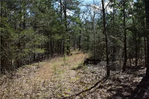 Boles, AR 72926,4375 Yearling Ridge Dr