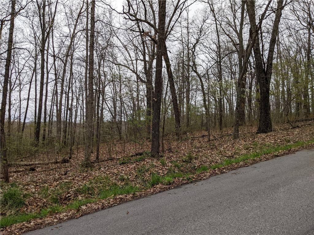 Bella Vista, AR 72715,Lot 27, Block 2 Leona Dr