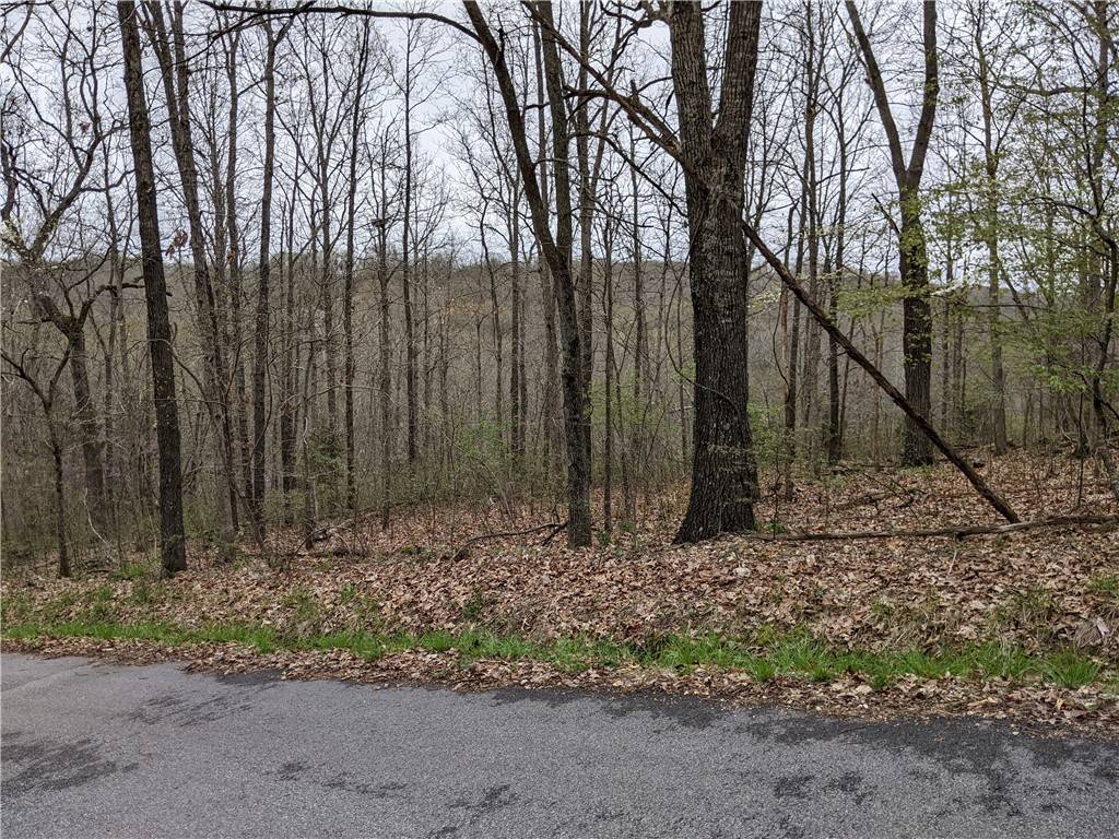 Lot 27, Block 2 Leona Dr, Bella Vista, AR 72715