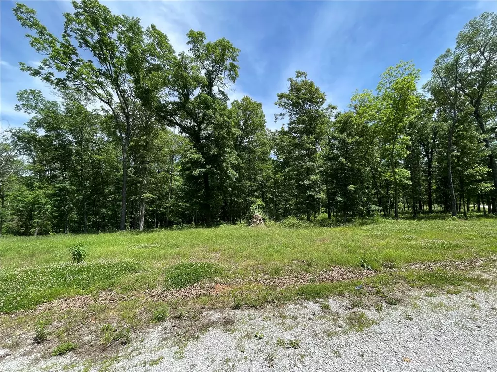 Pea Ridge, AR 72751,560 (Lot 13) Forrest Dr