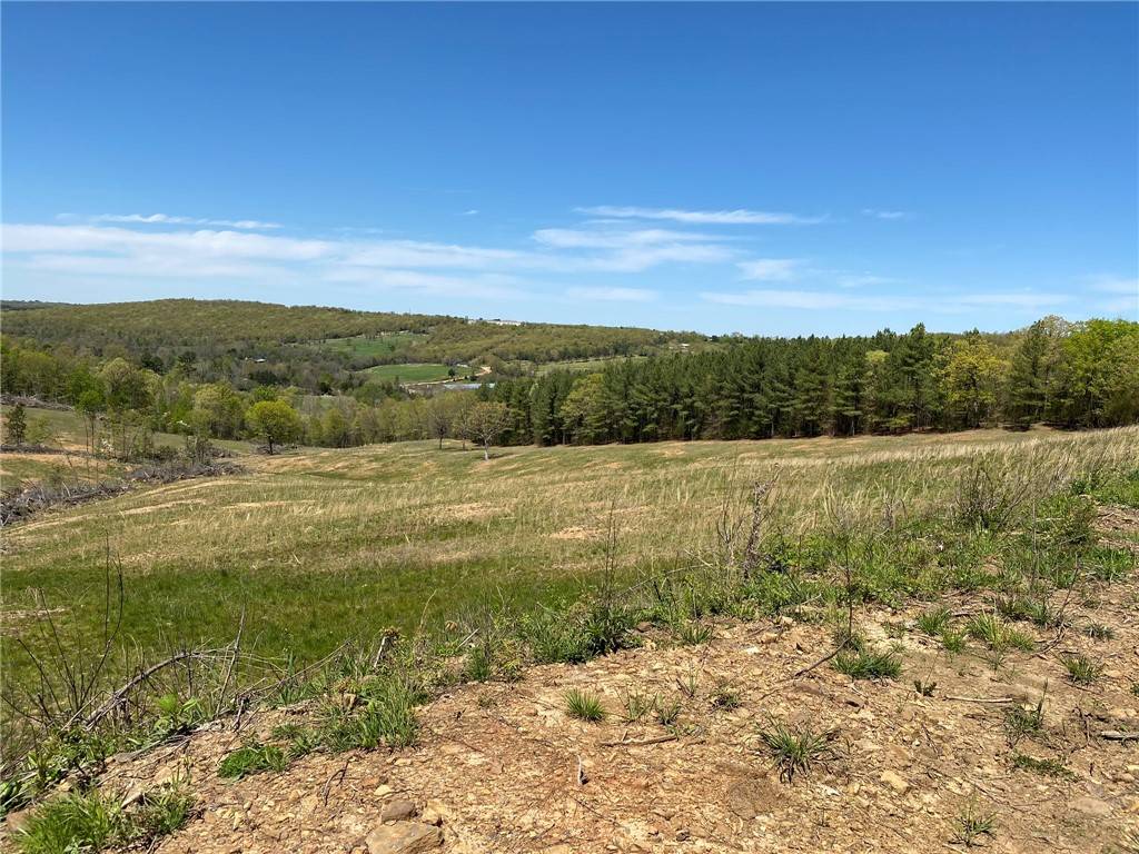 TBD Hwy 295, Wesley, AR 72773