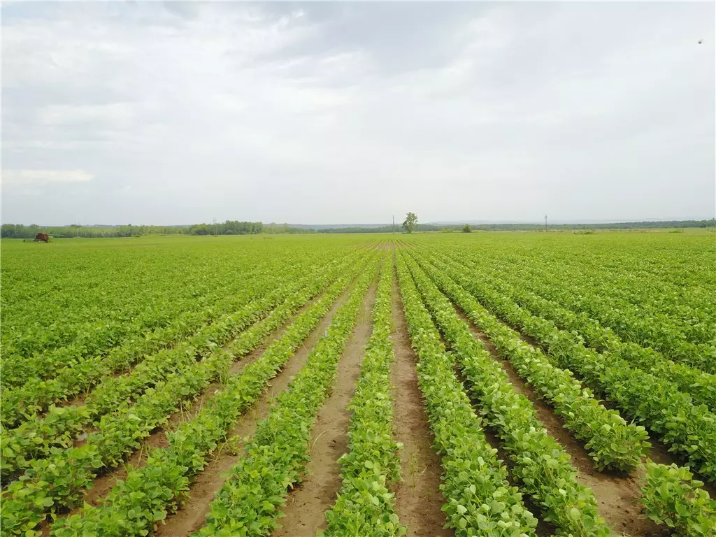 Dyer, AR 72935,000 Denman Rd