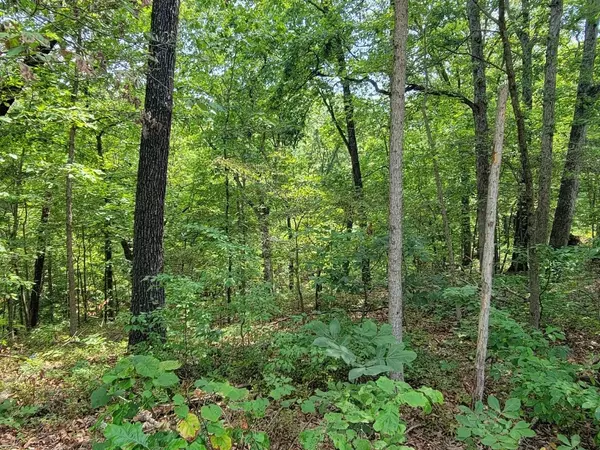 Bella Vista, AR 72715,Lot 57 Block 4 Rupert Ln