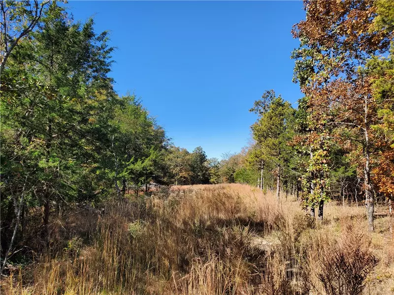 14861 Friendship Church Rd, West Fork, AR 72774