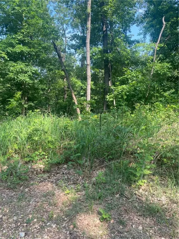 Bella Vista, AR 72715,Lot 21 Pylle Ln