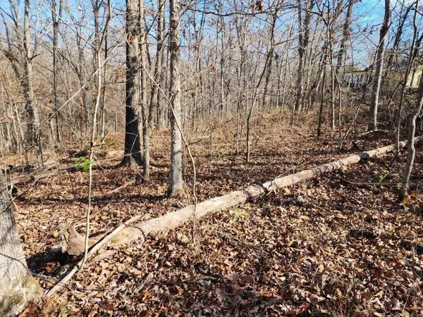 Bella Vista, AR 72715,Lot 2 Stoneykirk Dr