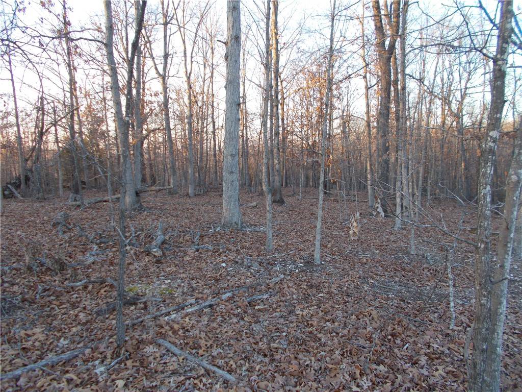 Tract 8 Oriole, Jane, MO 64856