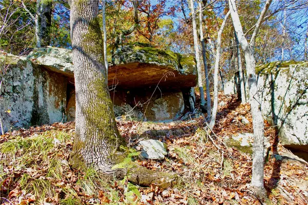 Witter, AR 72776,1212 Madison 3235