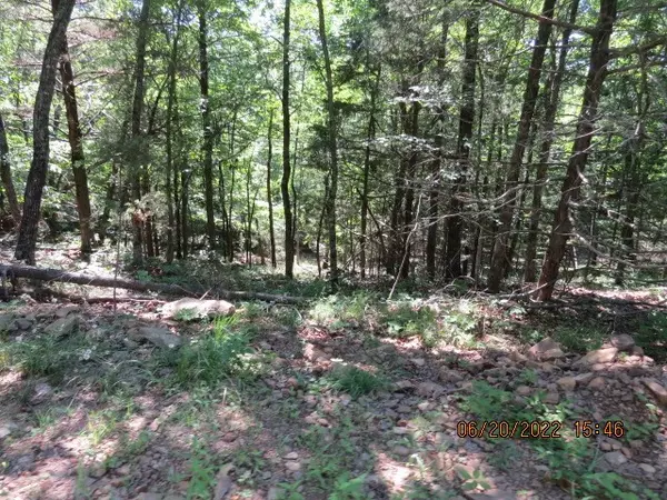 West Fork, AR 72774,170 S Highway 170 Hwy