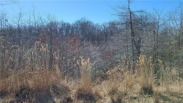 Havant Cir, Bella Vista, AR 72714