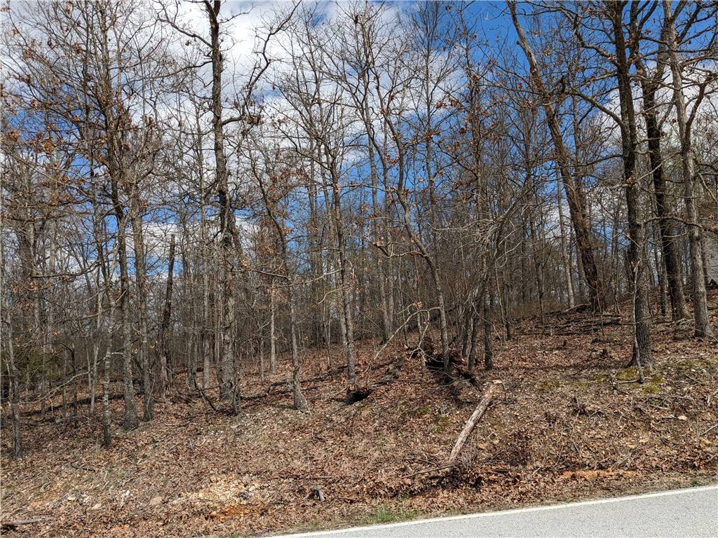 Bella Vista, AR 72715,Lot 24 Block 2 Cullen Hills Dr