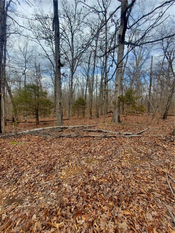 Lot 7 Tweedsmuir Ln, Bella Vista, AR 72715