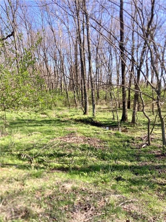 Siloam Springs, AR 72761,N. Dogwood St