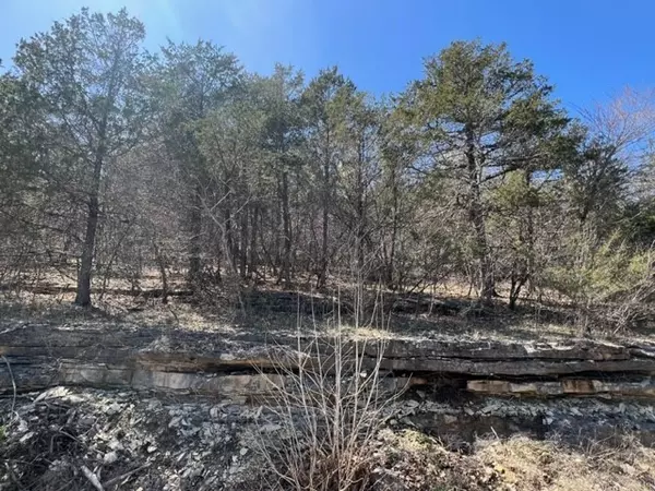 Holiday Island, AR 72631,194 Table Rock Dr