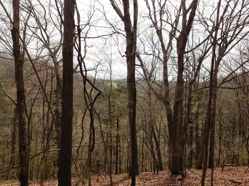 Lot 2 Posy Mountain Dr #4, Garfield, AR 72732