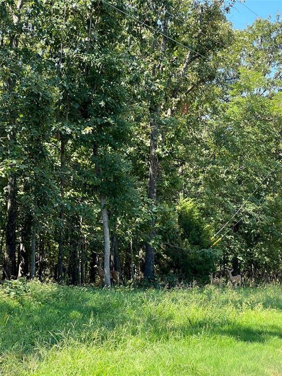 3.94AC E 340 Ln, Jay, OK 74346