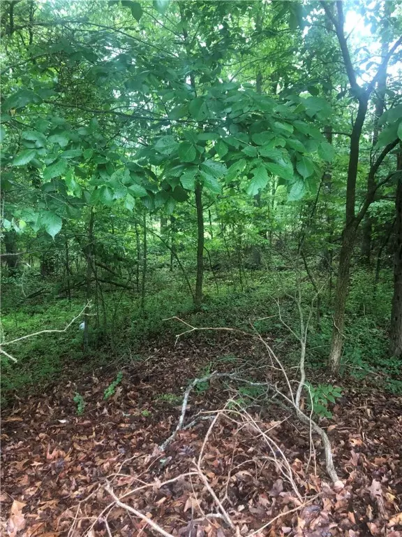 Bella Vista, AR 72714,Cresswell Dr