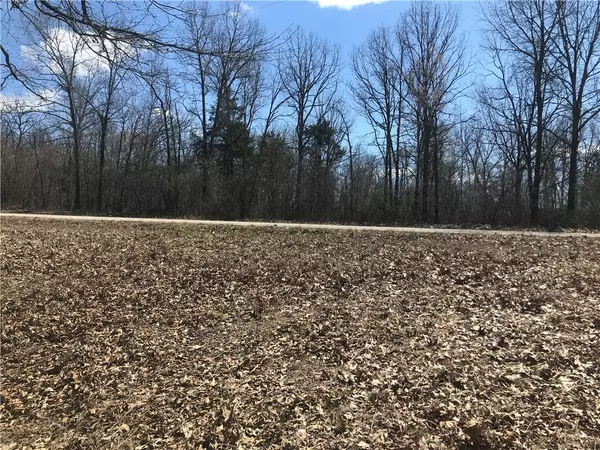 Yellville, AR 72687,Tract F. MC 8001