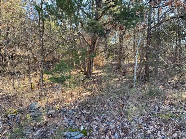 Holiday Island, AR 72631,14 Hillside Dr #10