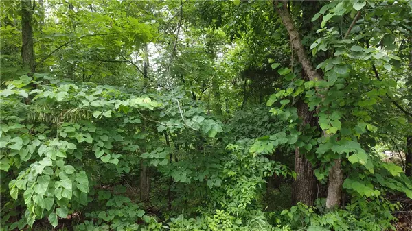 Bella Vista, AR 72715,Abbey Ln