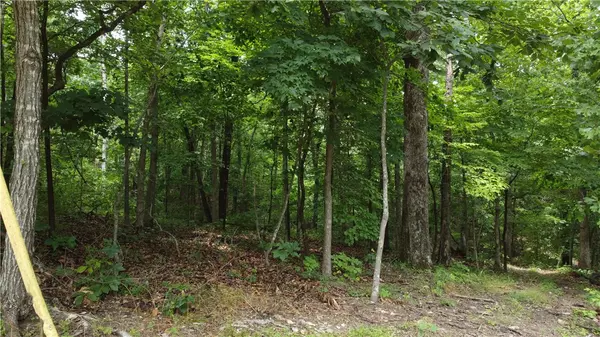 Bella Vista, AR 72715,Cairn Ln