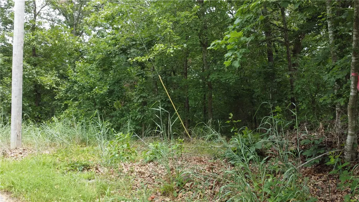 Bella Vista, AR 72715,Patsy Cir