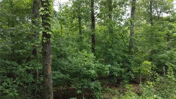 Bella Vista, AR 72715,Granton Cir