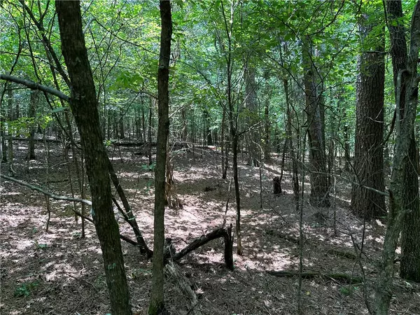 Caddo Valley, AR 71935,Oak Grove Rd