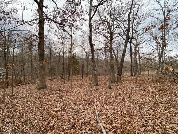 Bella Vista, AR 72714,Dunwich Ln