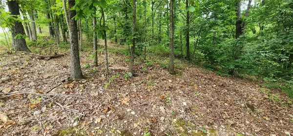 Bella Vista, AR 72715,Lot 1 Leola Ln