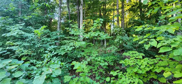 Bella Vista, AR 72714,Lot 15 N Heanor Ln