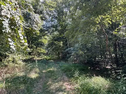 Lot 288 Ivy Ln, Garfield, AR 72732