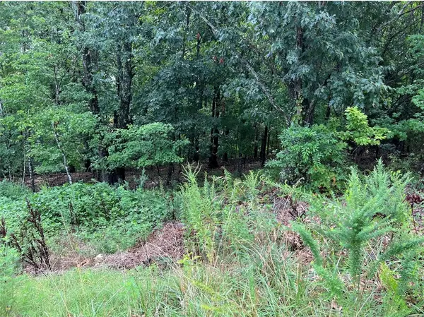 Bella Vista, AR 72714,Marionet Cir