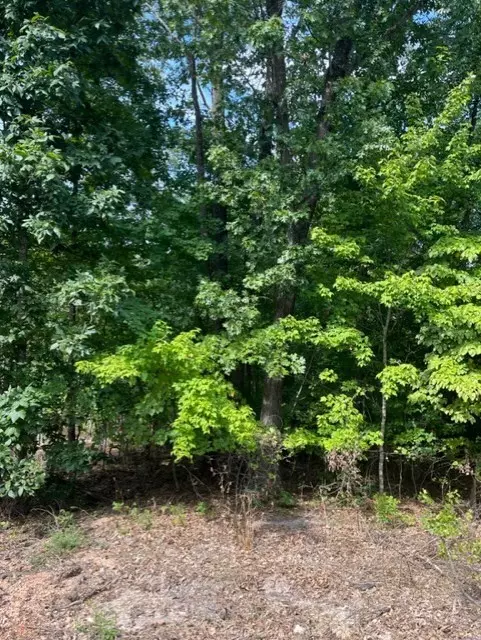 Bella Vista, AR 72715,Pimlico Dr