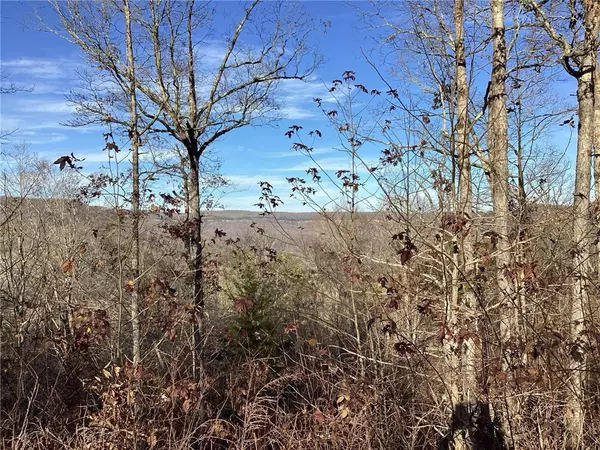 Deer, AR 72628,TBD CR 29